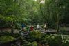 Family walking through green bushland over a creek bed with small and large rocks
